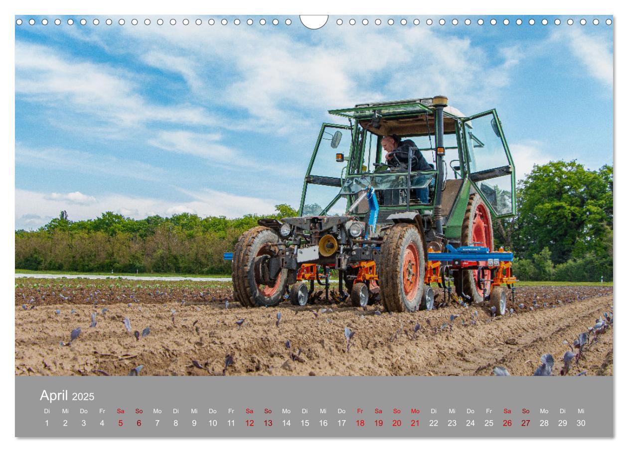 Bild: 9783435102822 | Youngtimer Landtechnik (Wandkalender 2025 DIN A3 quer), CALVENDO...