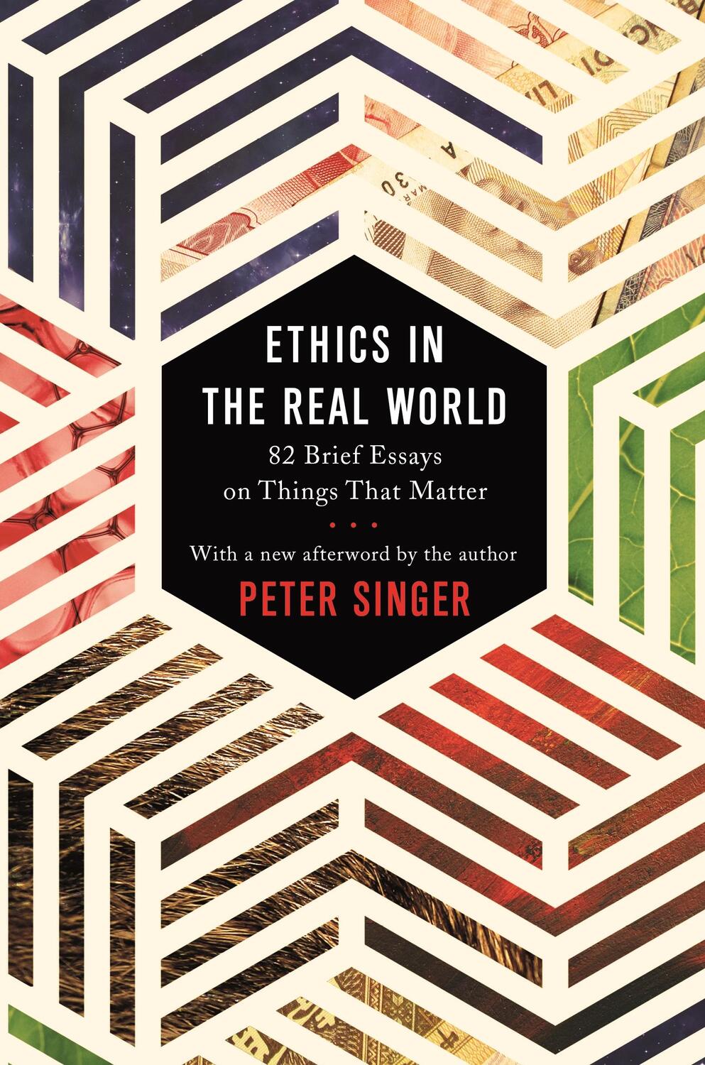 Cover: 9780691178479 | Ethics in the Real World | 82 Brief Essays on Things That Matter