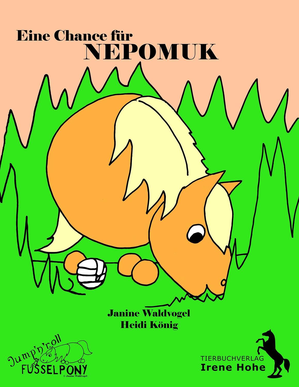 Cover: 9783944464633 | Eine Chance für Nepomuk | Jump 'n roll Fusselpony | König (u. a.)