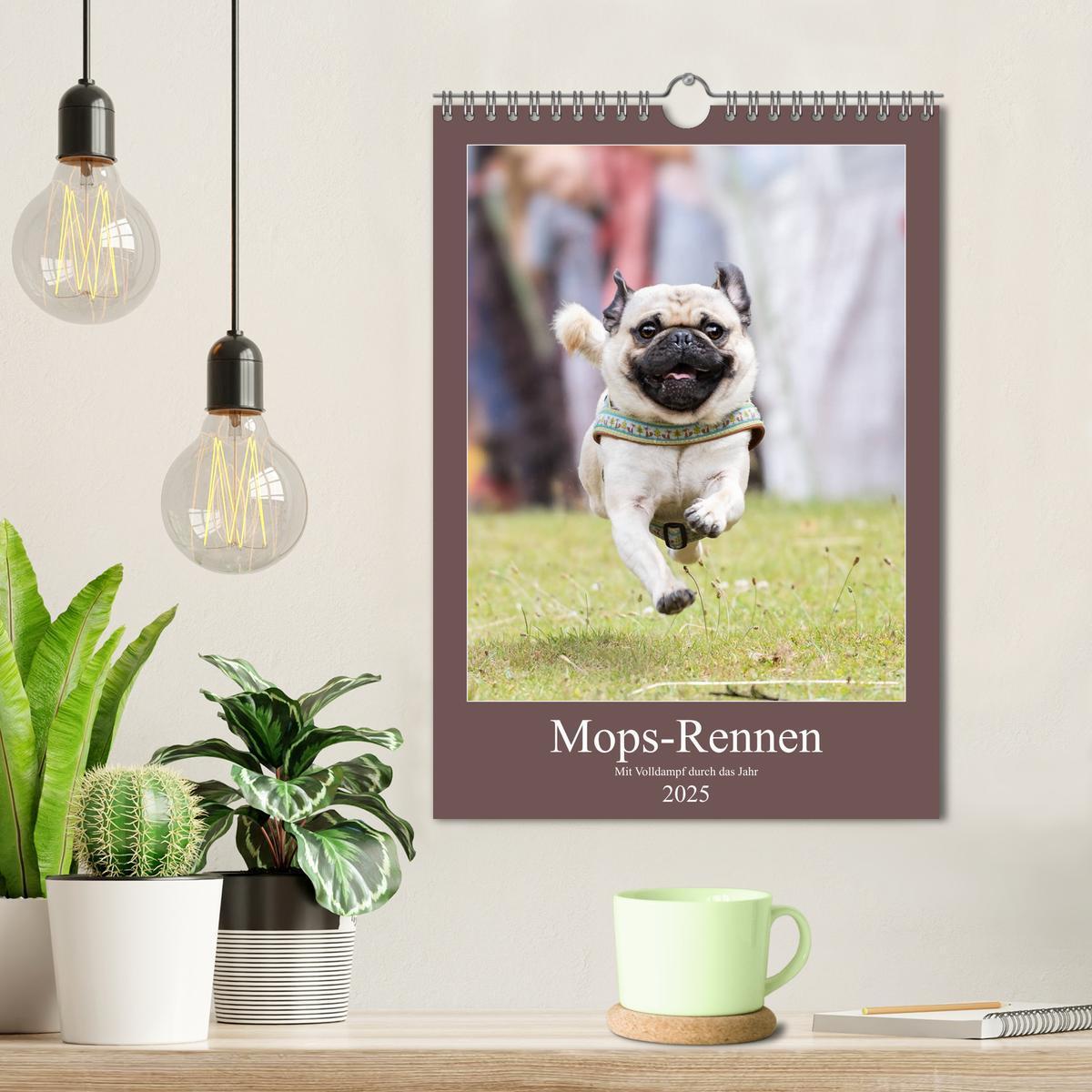 Bild: 9783435965687 | Mops-Rennen (Wandkalender 2025 DIN A4 hoch), CALVENDO Monatskalender