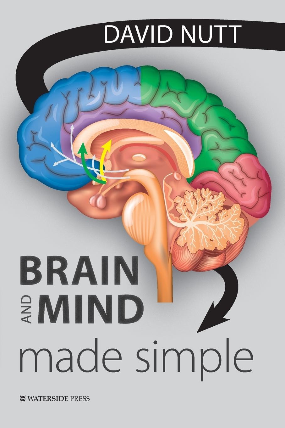 Cover: 9781914603006 | Brain and Mind Made Simple | David Nutt | Taschenbuch | Paperback