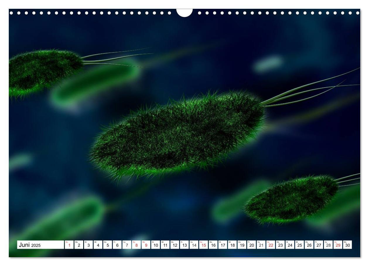 Bild: 9783435483853 | Mikrobiologie. Mikroorganismen, Genetik und Zellen (Wandkalender...