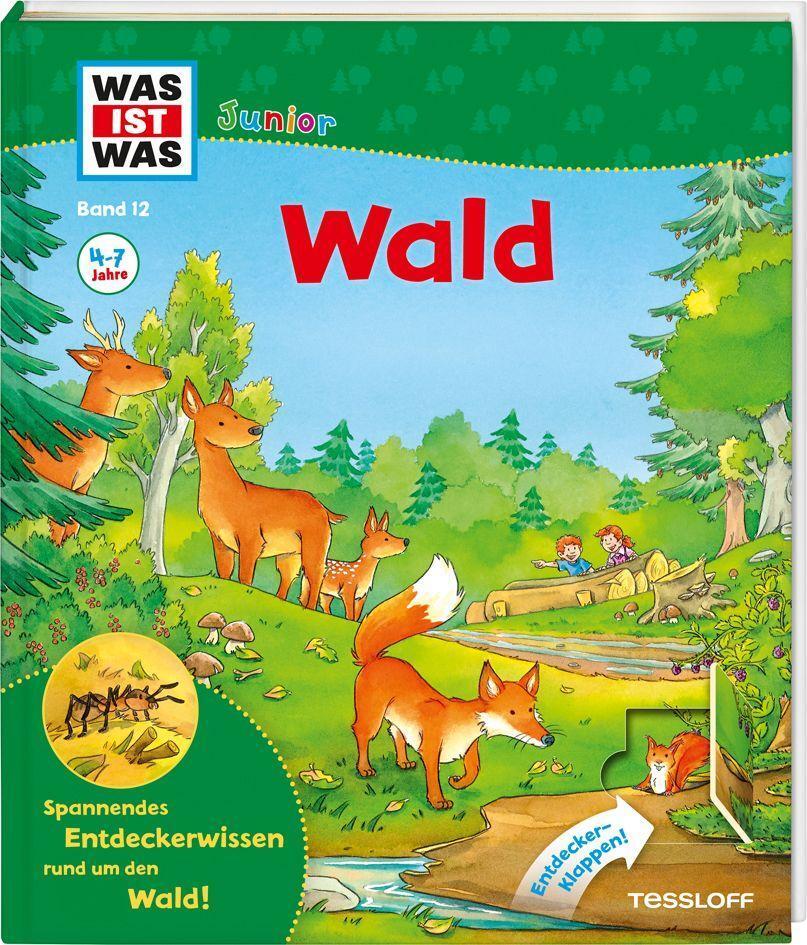 Cover: 9783788622138 | WAS IST WAS Junior - Wald | Christina/Stauber, Sabine Braun | Buch