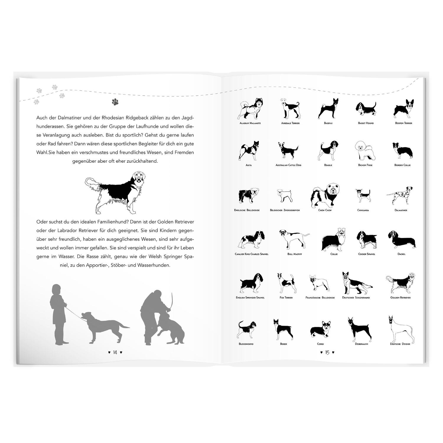 Bild: 9783986601072 | Entdecke die Welt Deines Hundes | Udo Ingenbrand | Buch | 256 S.