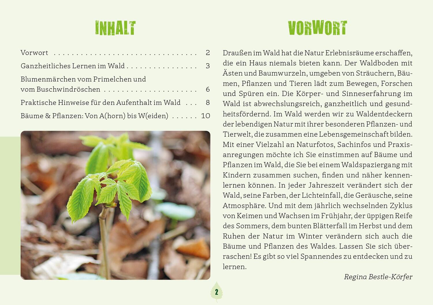 Bild: 9783451389863 | Kleine Waldentdecker: Bäume &amp; Pflanzen | Regina Bestle-Körfer | 64 S.