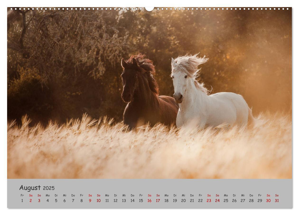 Bild: 9783435336357 | Spiegel deiner Seele (hochwertiger Premium Wandkalender 2025 DIN A2...