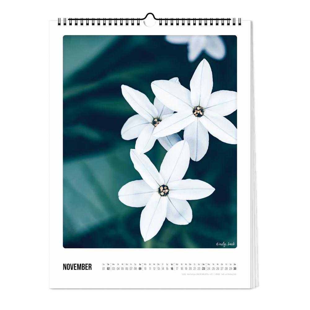 Bild: 4251781179287 | Wandkalender 2025 - Blu¨tenzauber | Pickmotion | Kalender | Deutsch