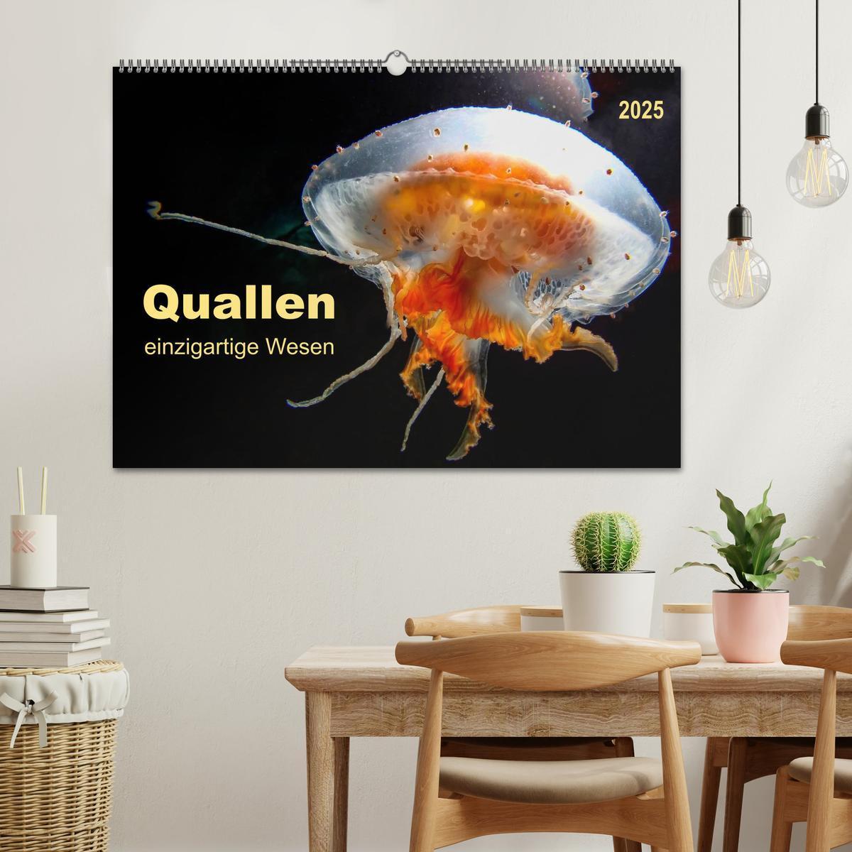 Bild: 9783435584482 | Quallen - einzigartige Wesen (Wandkalender 2025 DIN A2 quer),...