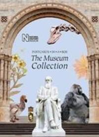Cover: 9780565094362 | The Museum Collection: Postcards in a Box | Natural History Museum