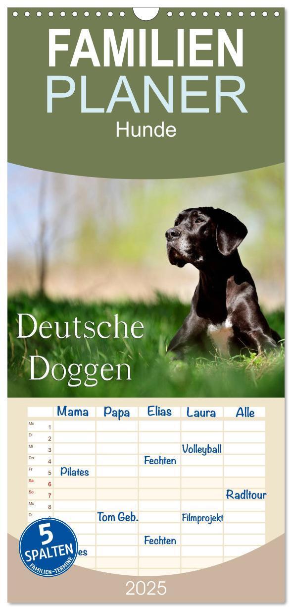 Cover: 9783457118580 | Familienplaner 2025 - Deutsche Doggen / Geburtstagskalender mit 5...