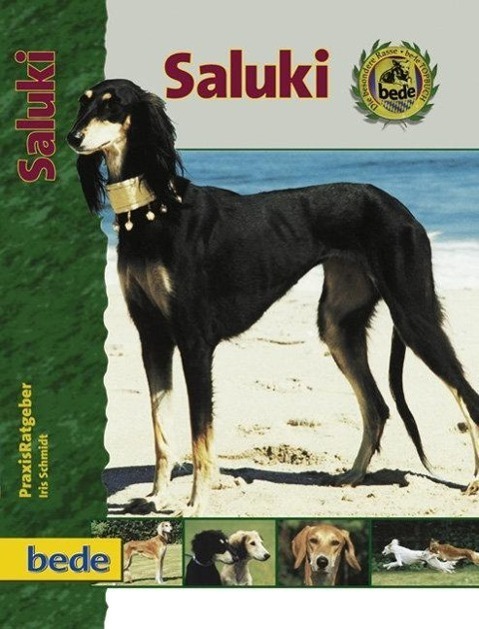 Cover: 9783898600170 | PraxisRatgeber Saluki | Iris Schmidt | Buch | Deutsch | 2002