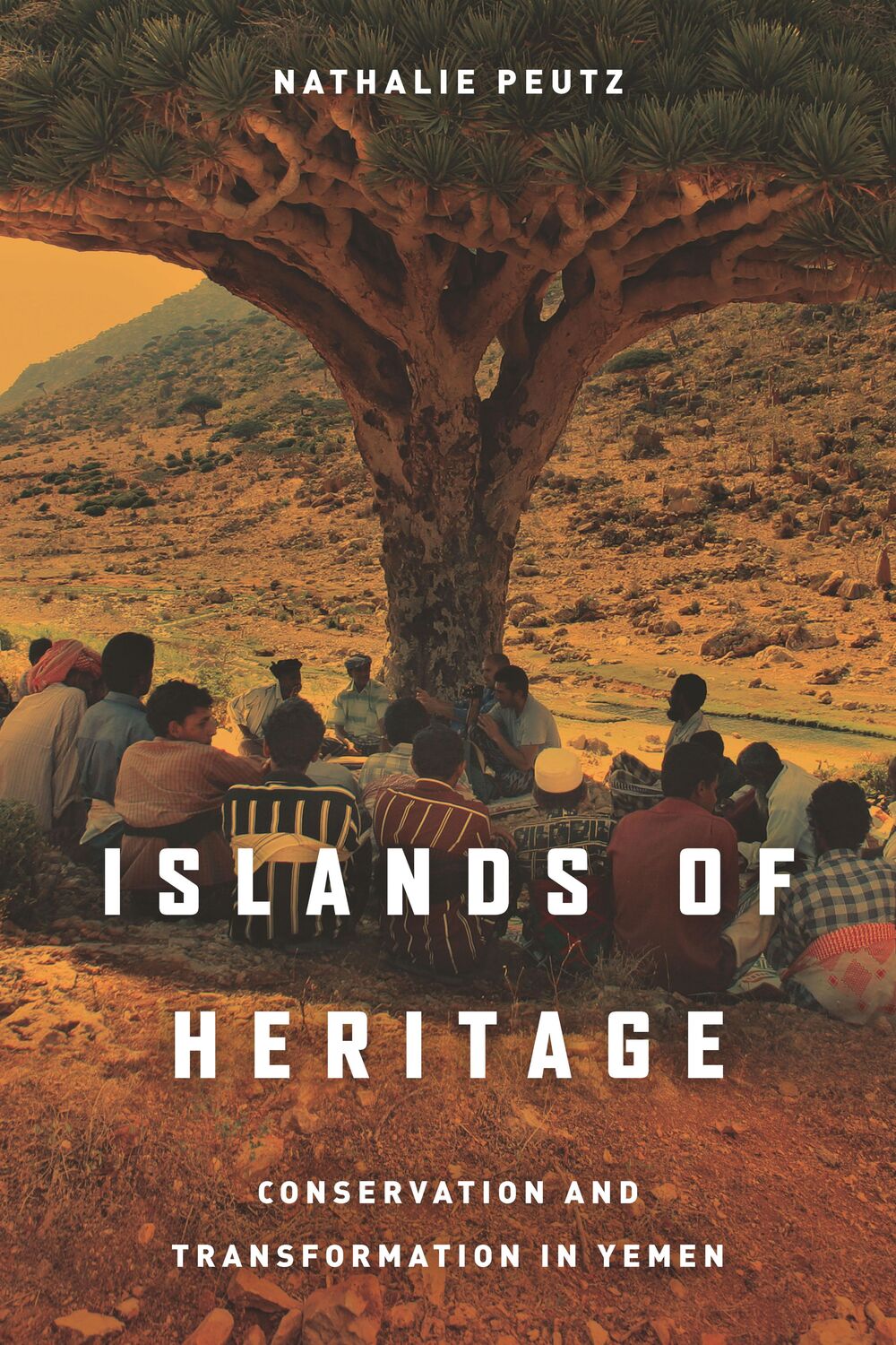 Cover: 9781503607149 | Islands of Heritage | Conservation and Transformation in Yemen | Peutz