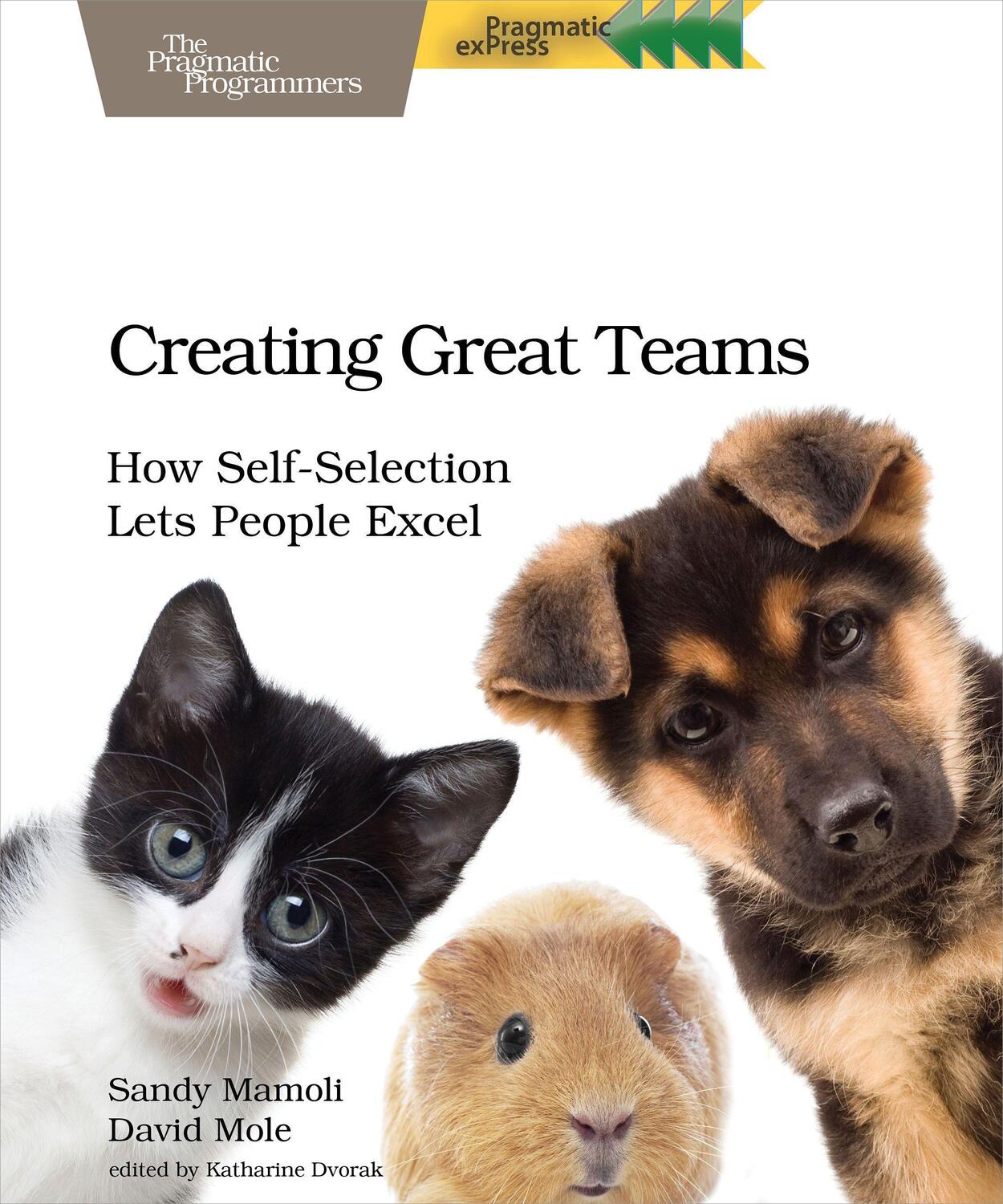 Cover: 9781680501285 | Creating Great Teams | How Self-Selection Lets People Excel | Mamoli