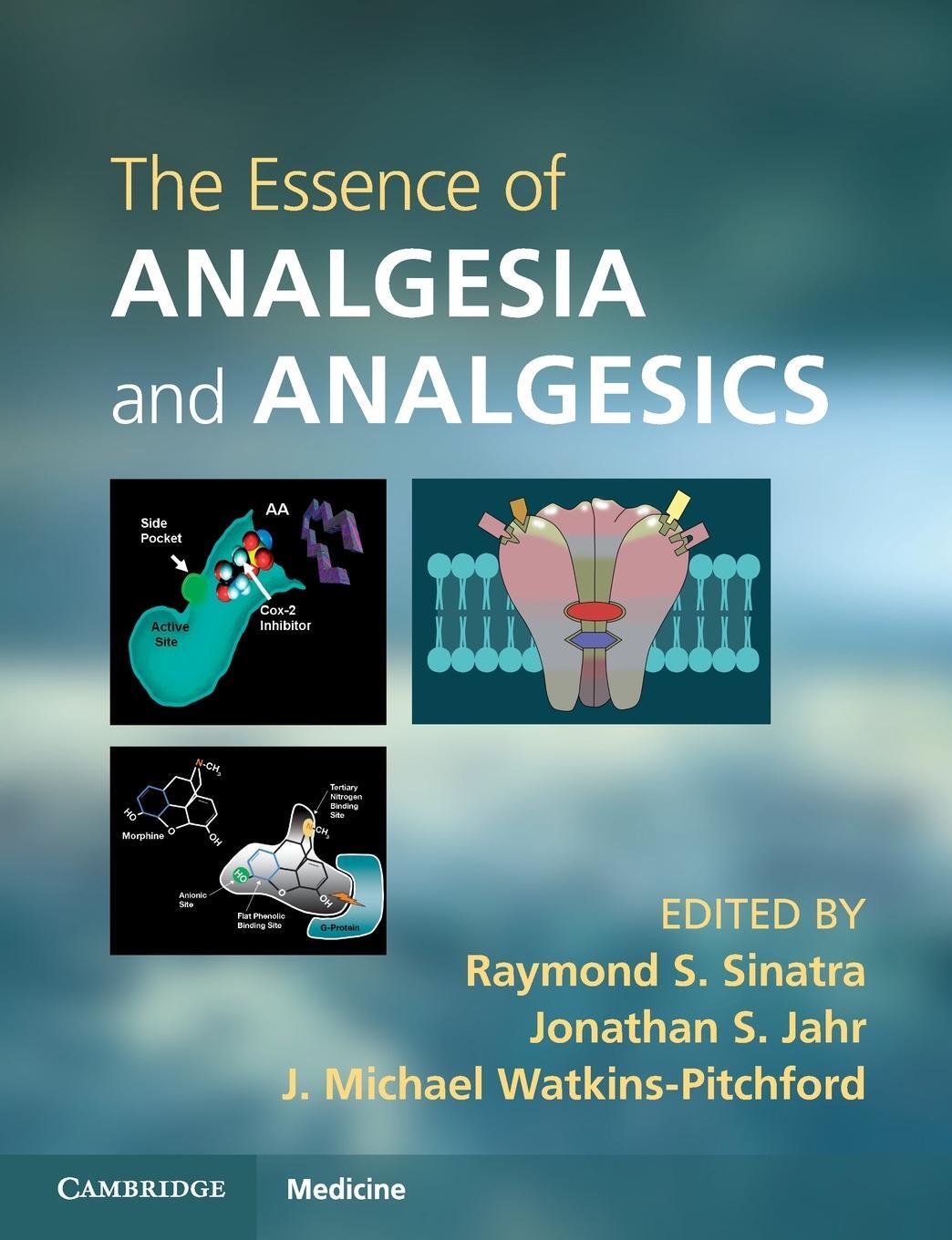 Cover: 9780521144506 | The Essence of Analgesia and Analgesics | J. Michael Watkins-Pitchford