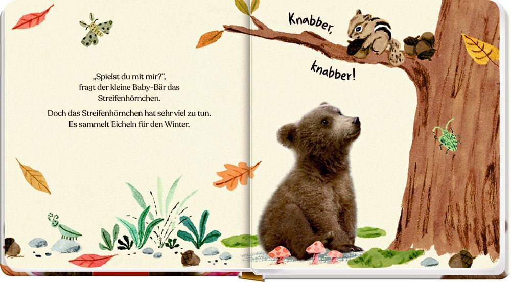 Bild: 9783649643319 | Meine erste Tierbaby-Geschichte: Kleiner Bär | Amanda Wood | Buch