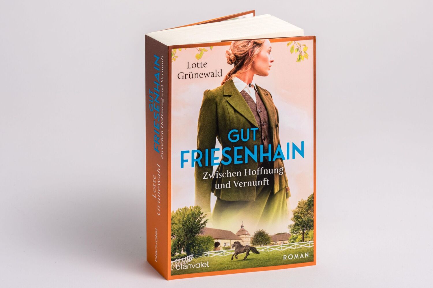 Bild: 9783734110917 | Gut Friesenhain 02 - Zwischen Hoffnung und Vernunft | Roman | Buch