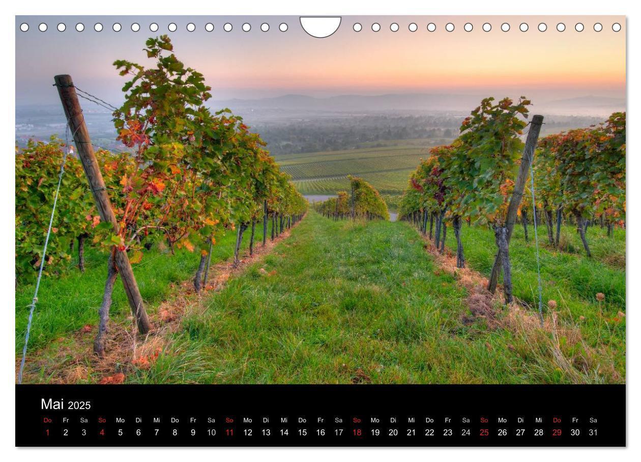 Bild: 9783435718948 | Weinberge im Remstal (Wandkalender 2025 DIN A4 quer), CALVENDO...