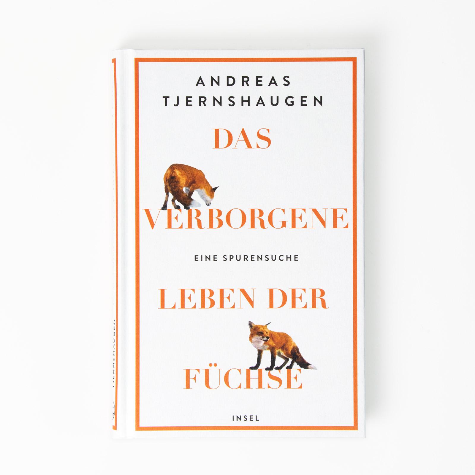 Bild: 9783458643715 | Das verborgene Leben der Füchse | Andreas Tjernshaugen | Buch | 214 S.