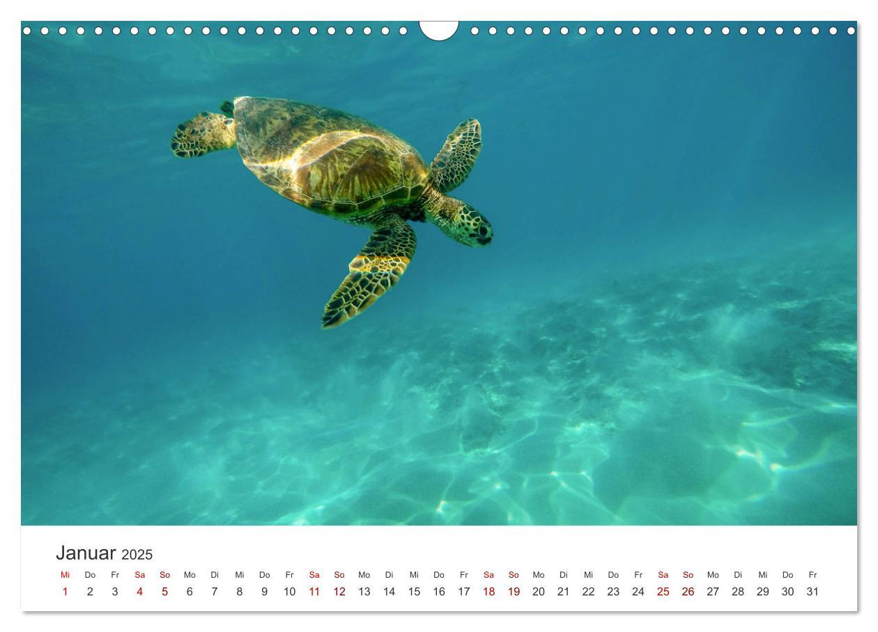 Bild: 9783383986925 | Hawaii - Wunderschöne Einblicke in das Naturparadies. (Wandkalender...