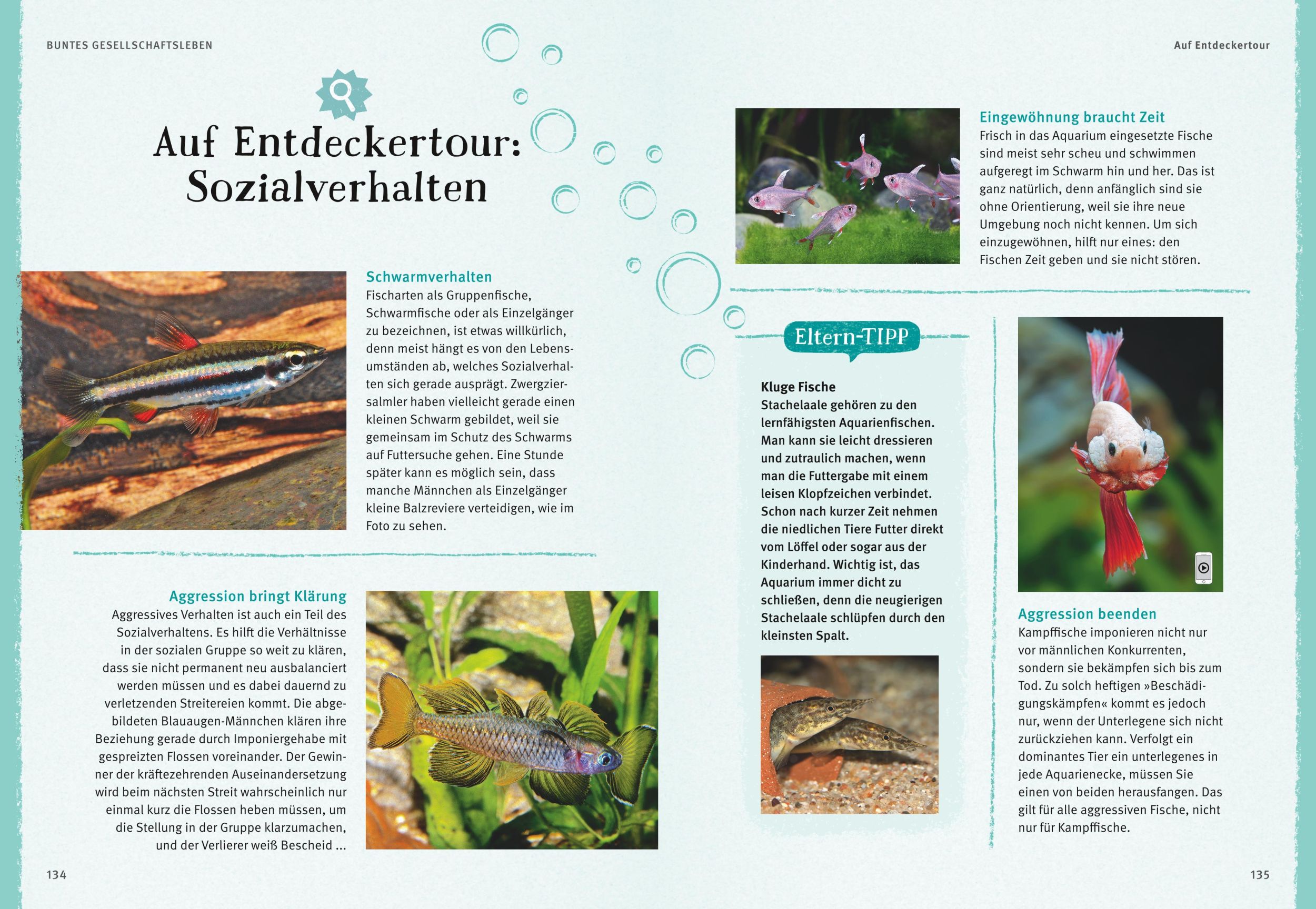 Bild: 9783833848513 | Faszinierendes Aquarium | Ulrich Schliewen | Taschenbuch | 144 S.