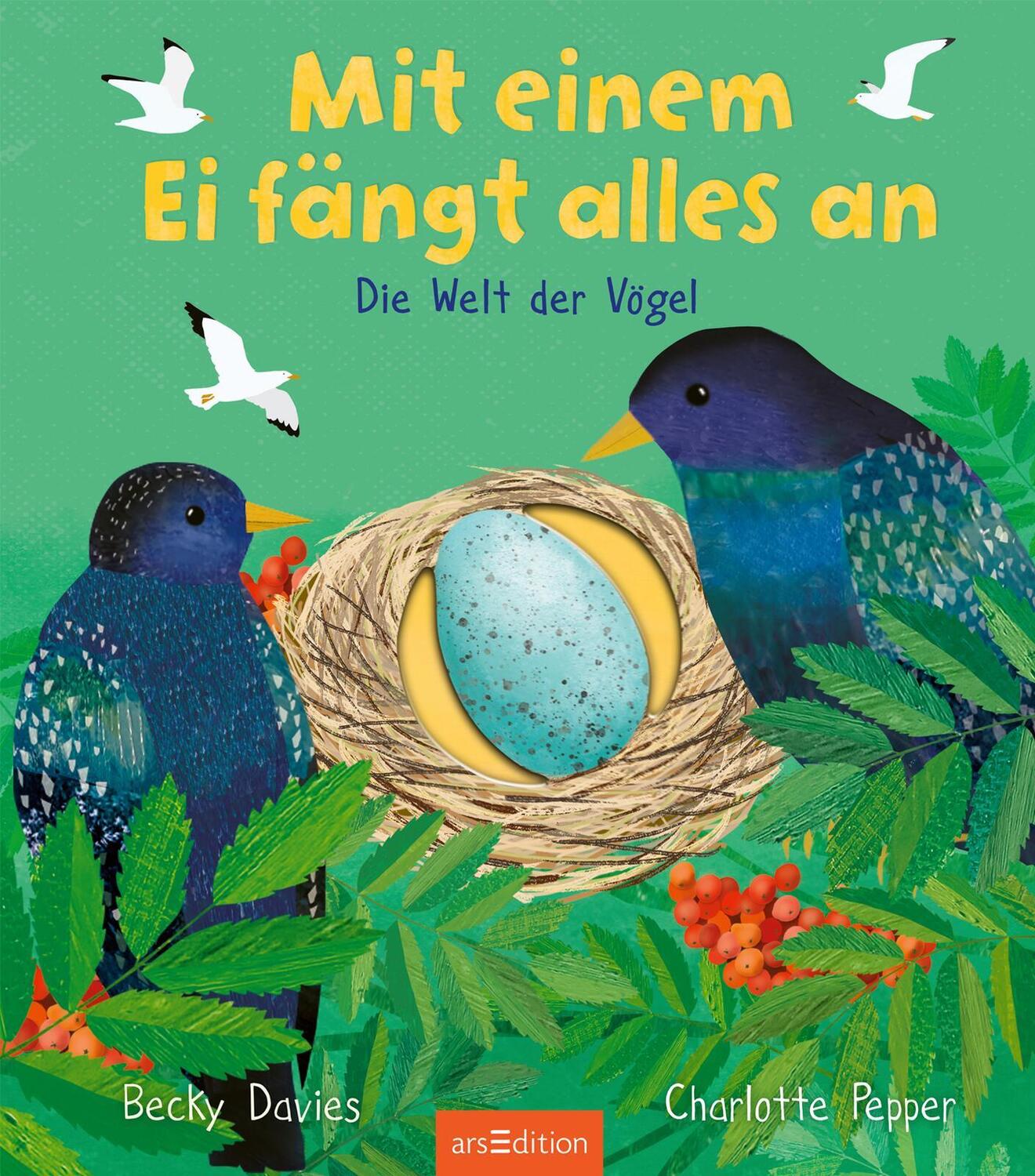 Bild: 9783845852218 | Mit einem Ei fängt alles an | Die Welt der Vögel | Becky Davies | Buch