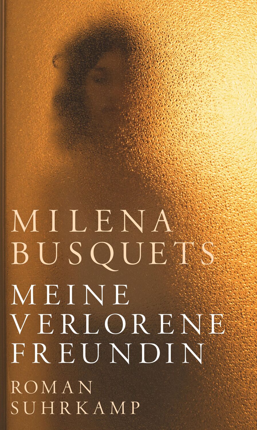 Cover: 9783518430477 | Meine verlorene Freundin | Roman | Milena Busquets | Buch | Deutsch