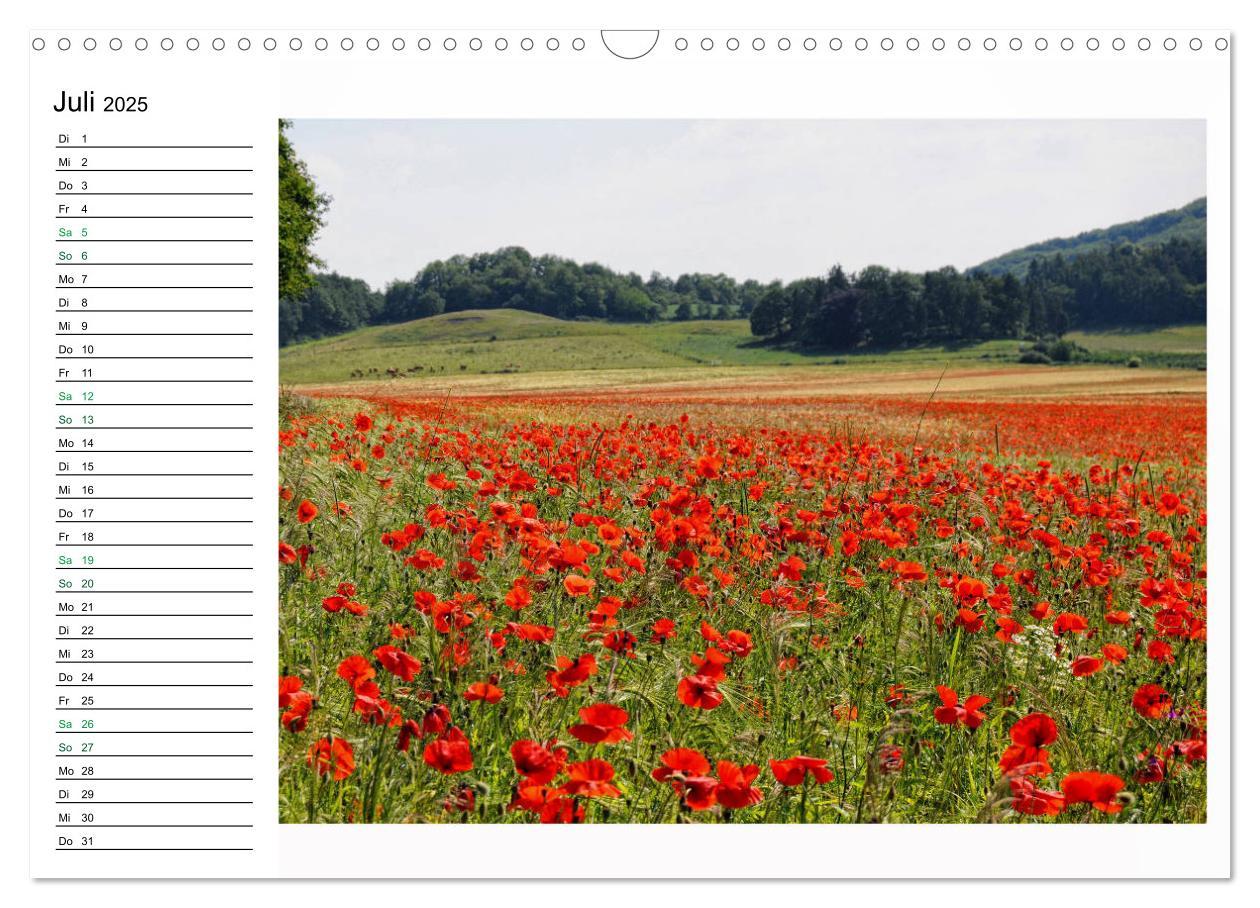 Bild: 9783435129577 | Landschaften in der Eifel (Wandkalender 2025 DIN A3 quer), CALVENDO...