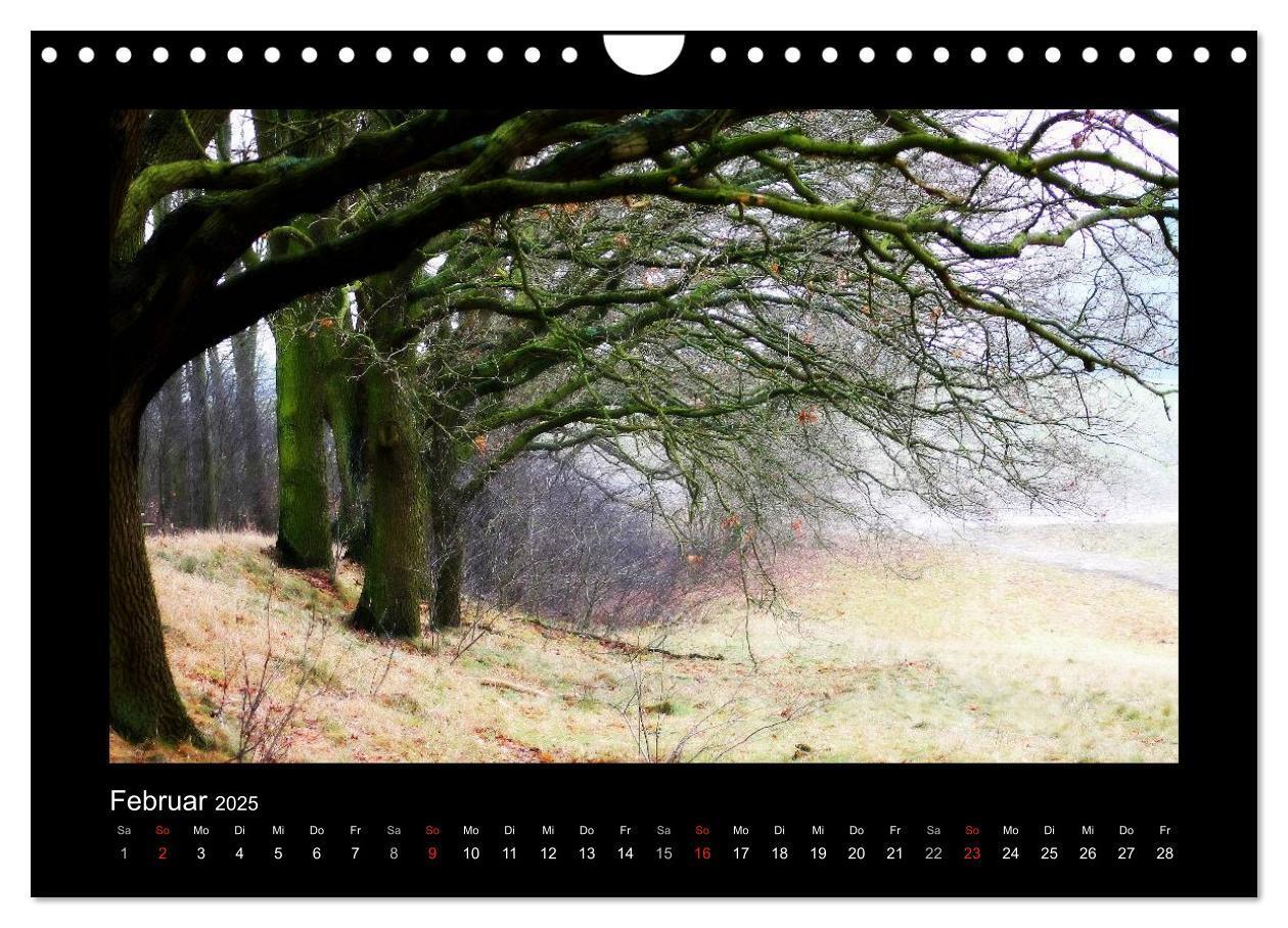 Bild: 9783435732074 | Landschaft Teufelsmoor / 2025 (Wandkalender 2025 DIN A4 quer),...