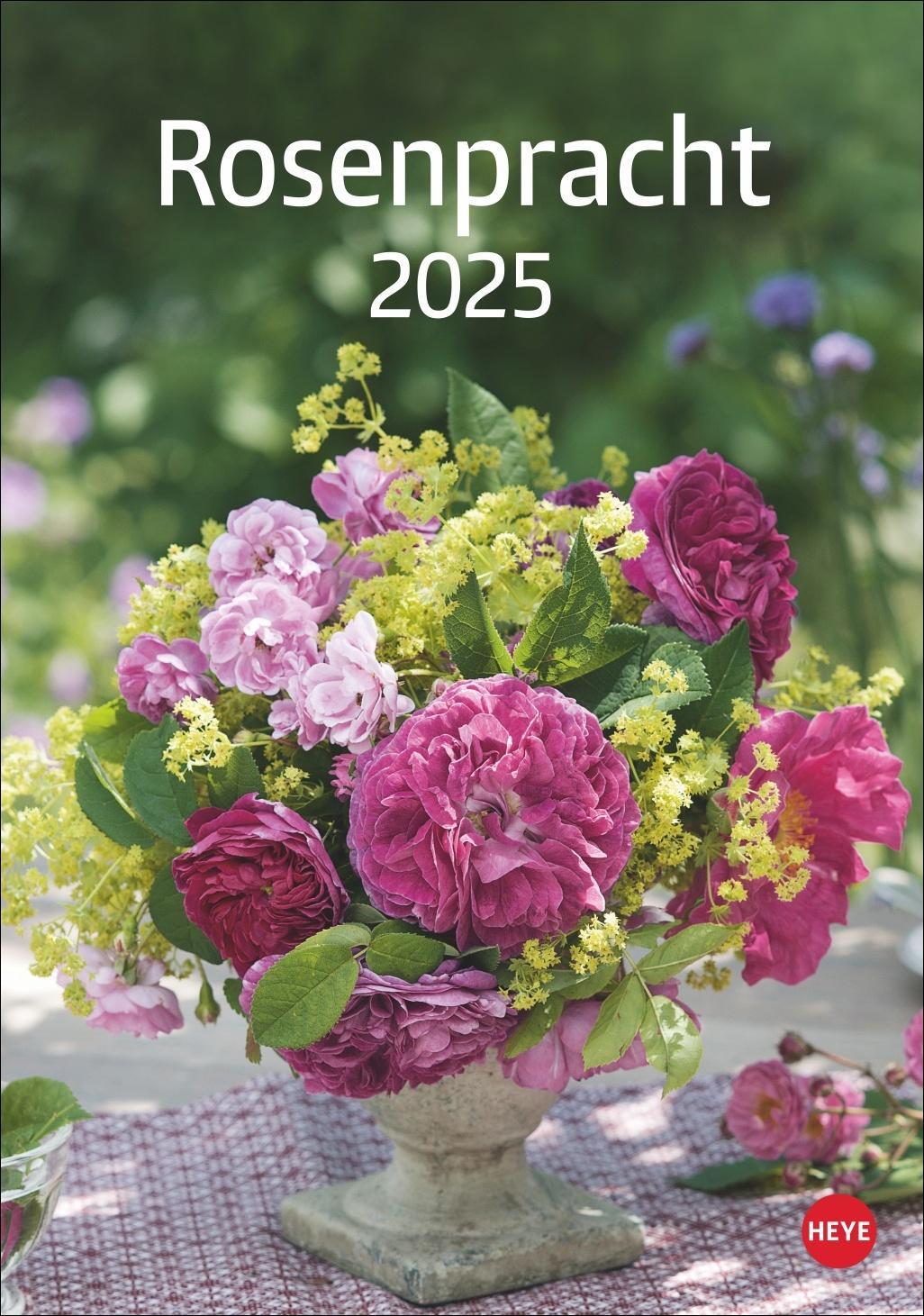 Cover: 9783756405596 | Rosenpracht Kalender 2025 | Heye | Kalender | Spiralbindung | 13 S.