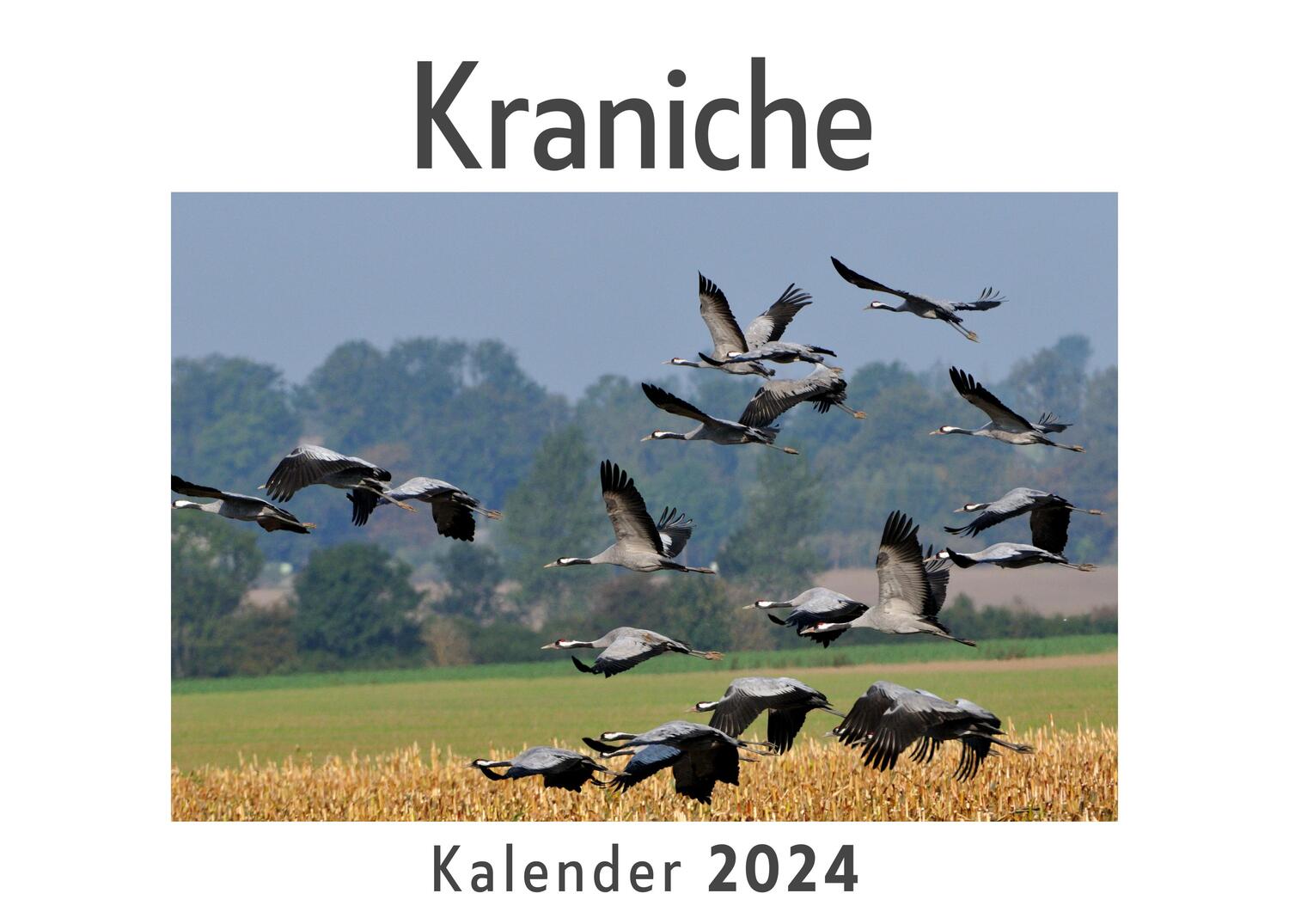 Cover: 9783750559219 | Kraniche (Wandkalender 2024, Kalender DIN A4 quer, Monatskalender...