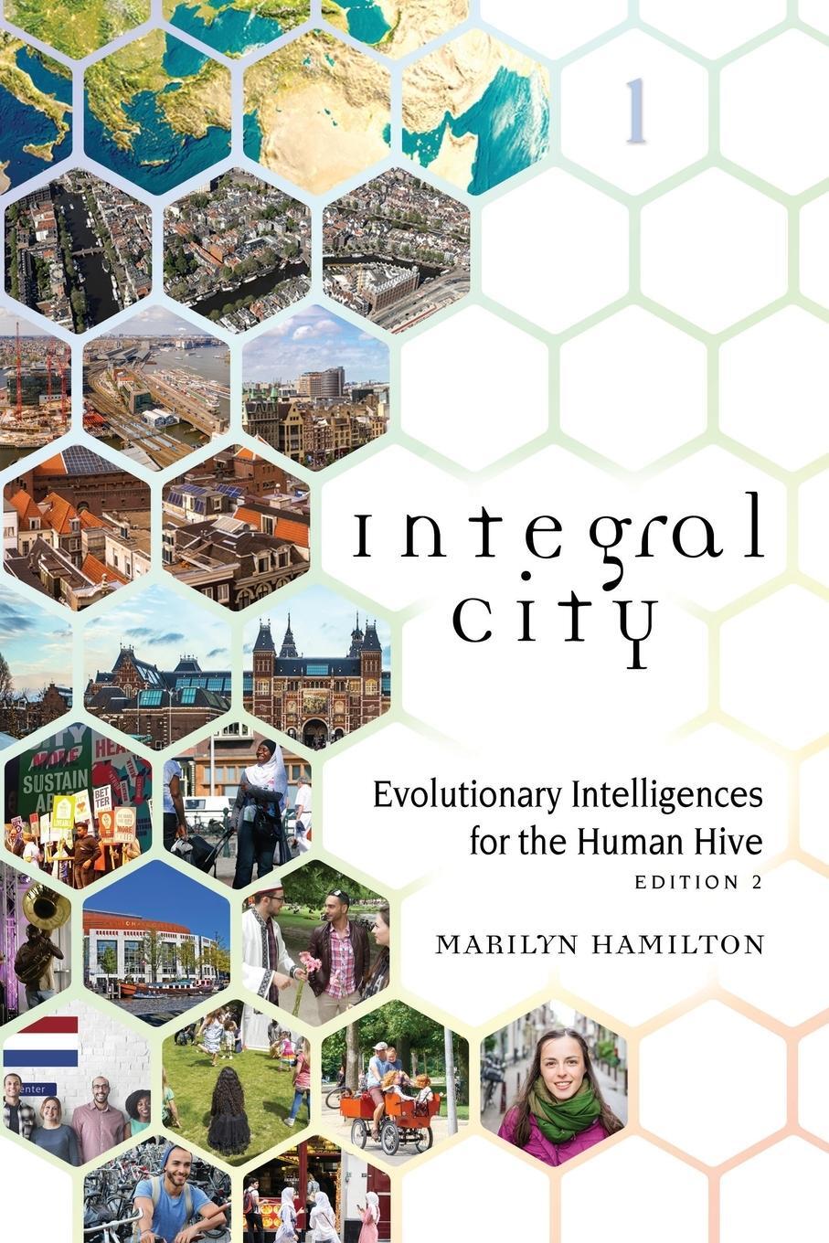 Cover: 9780998031743 | Integral City | Evolutionary Intelligences for the Human Hive | Buch