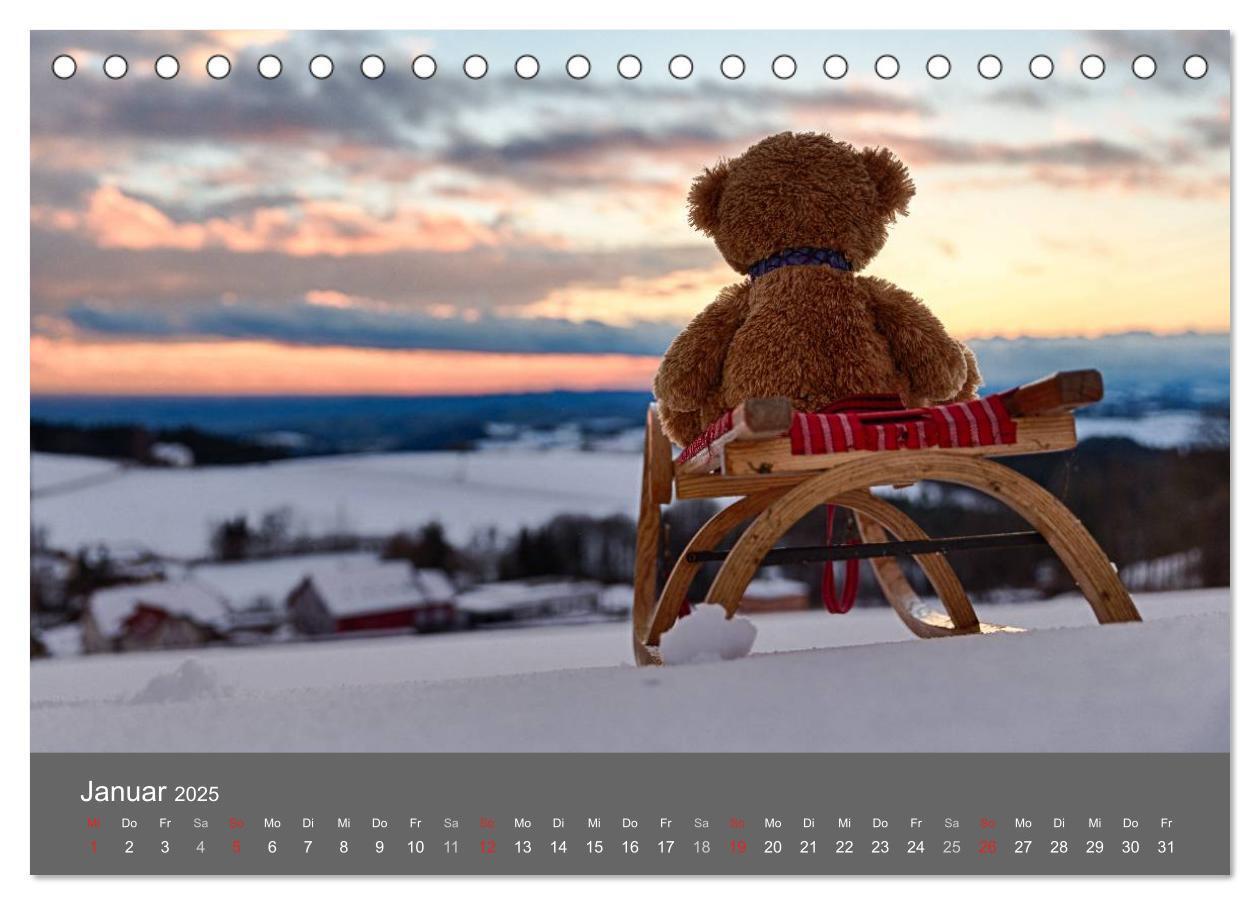 Bild: 9783435502172 | Travelling Teddy 2025 (Tischkalender 2025 DIN A5 quer), CALVENDO...