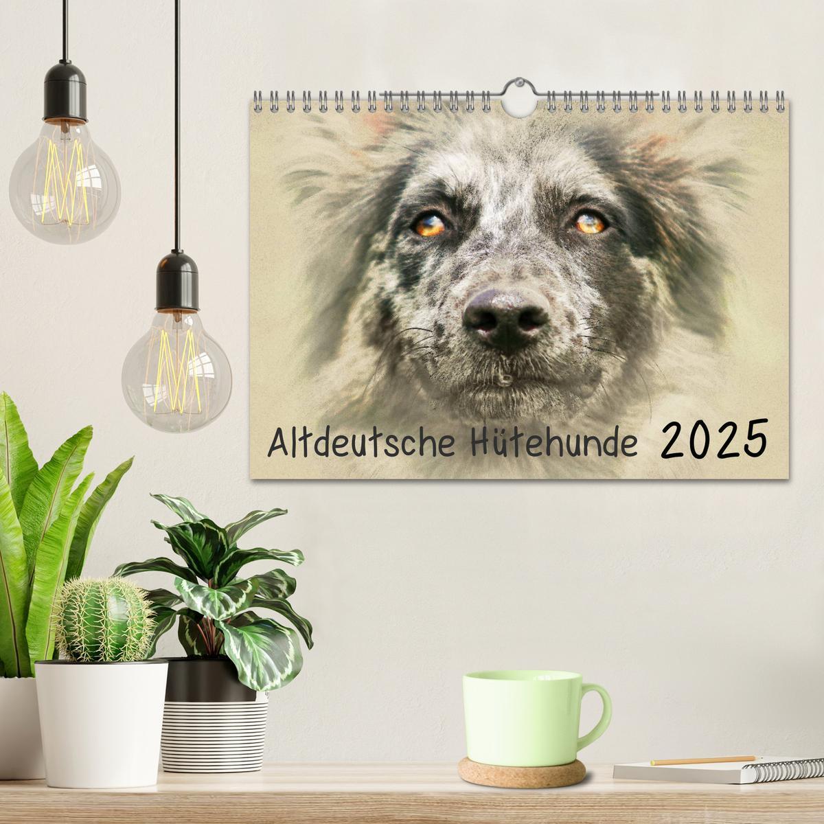 Bild: 9783435706655 | Altdeutsche Hütehunde 2025 (Wandkalender 2025 DIN A4 quer),...