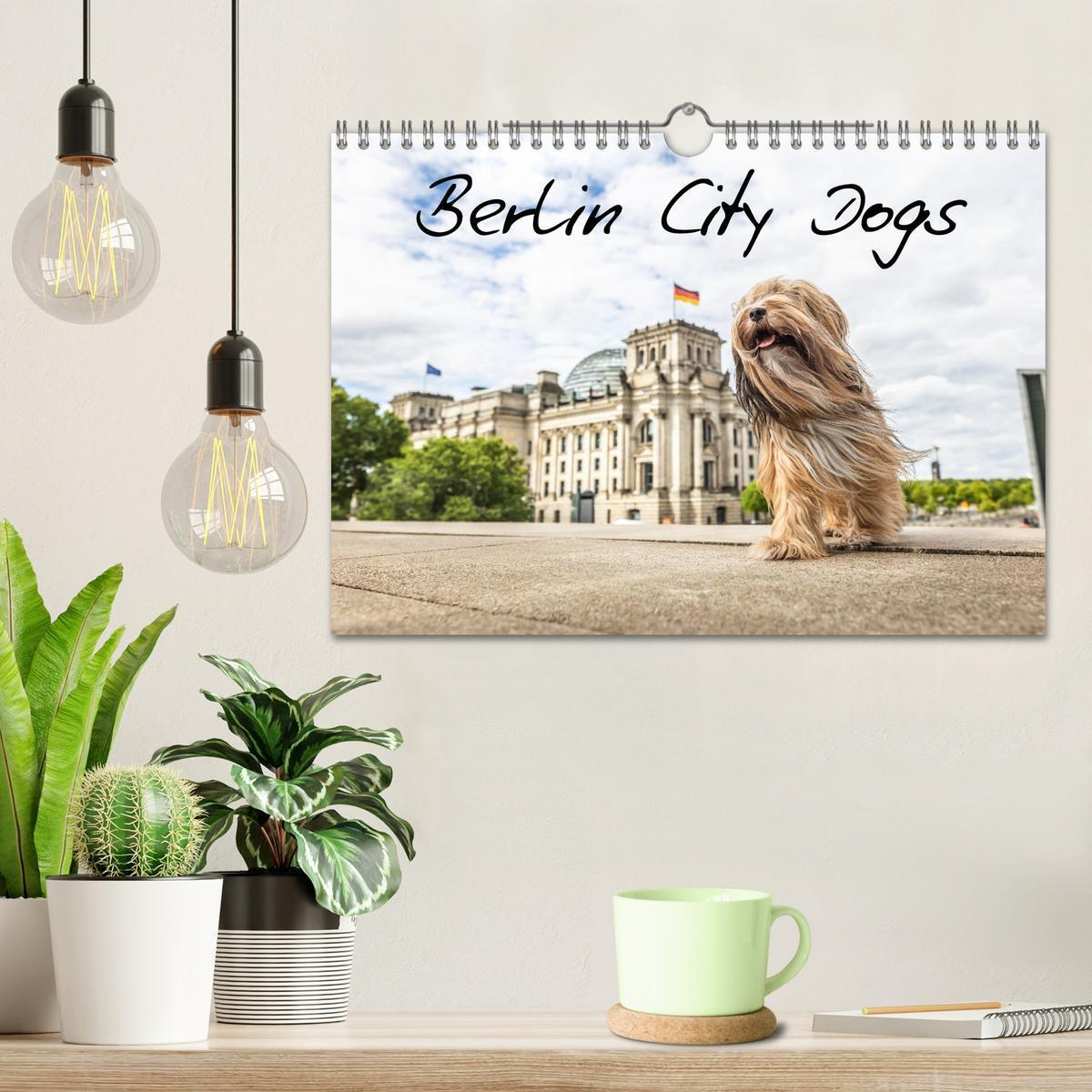 Bild: 9783457183526 | Berlin City Dogs - Berliner Hunde (Wandkalender 2025 DIN A4 quer),...