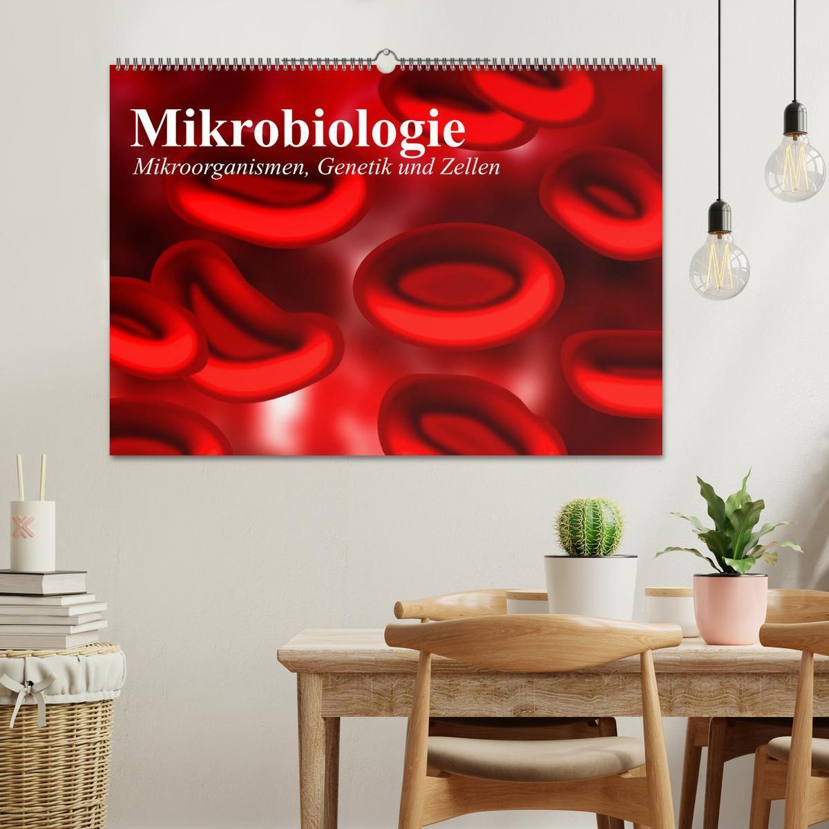 Bild: 9783435483334 | Mikrobiologie. Mikroorganismen, Genetik und Zellen (Wandkalender...