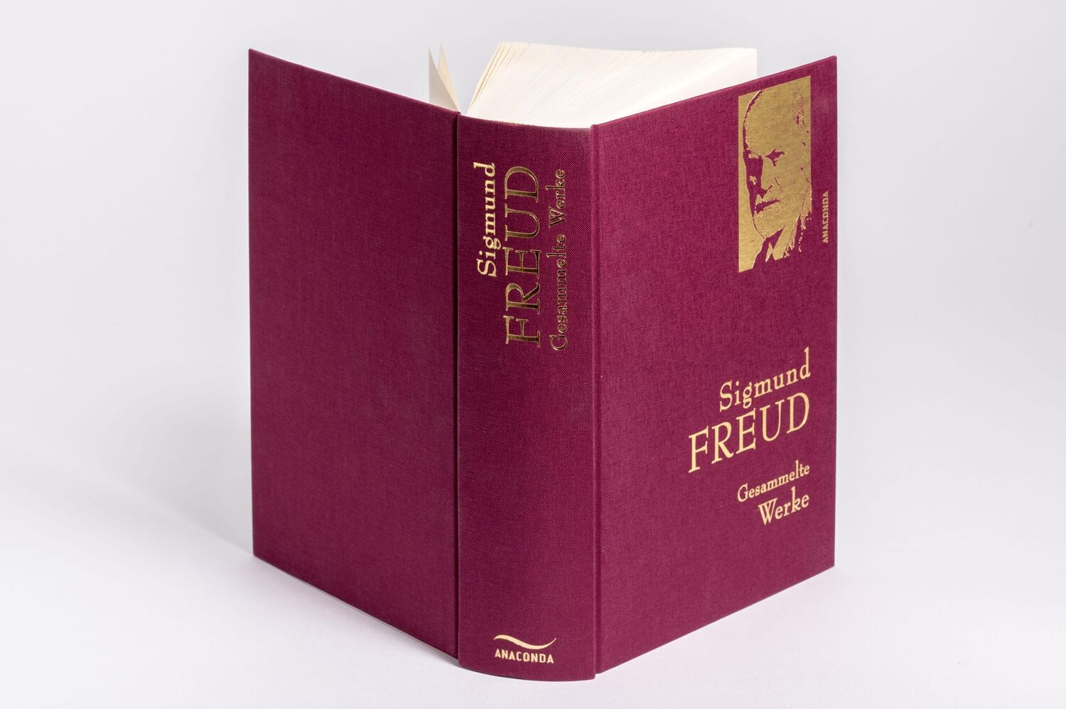 Bild: 9783730600870 | Sigmund Freud - Gesammelte Werke | Sigmund Freud | Buch | 1008 S.