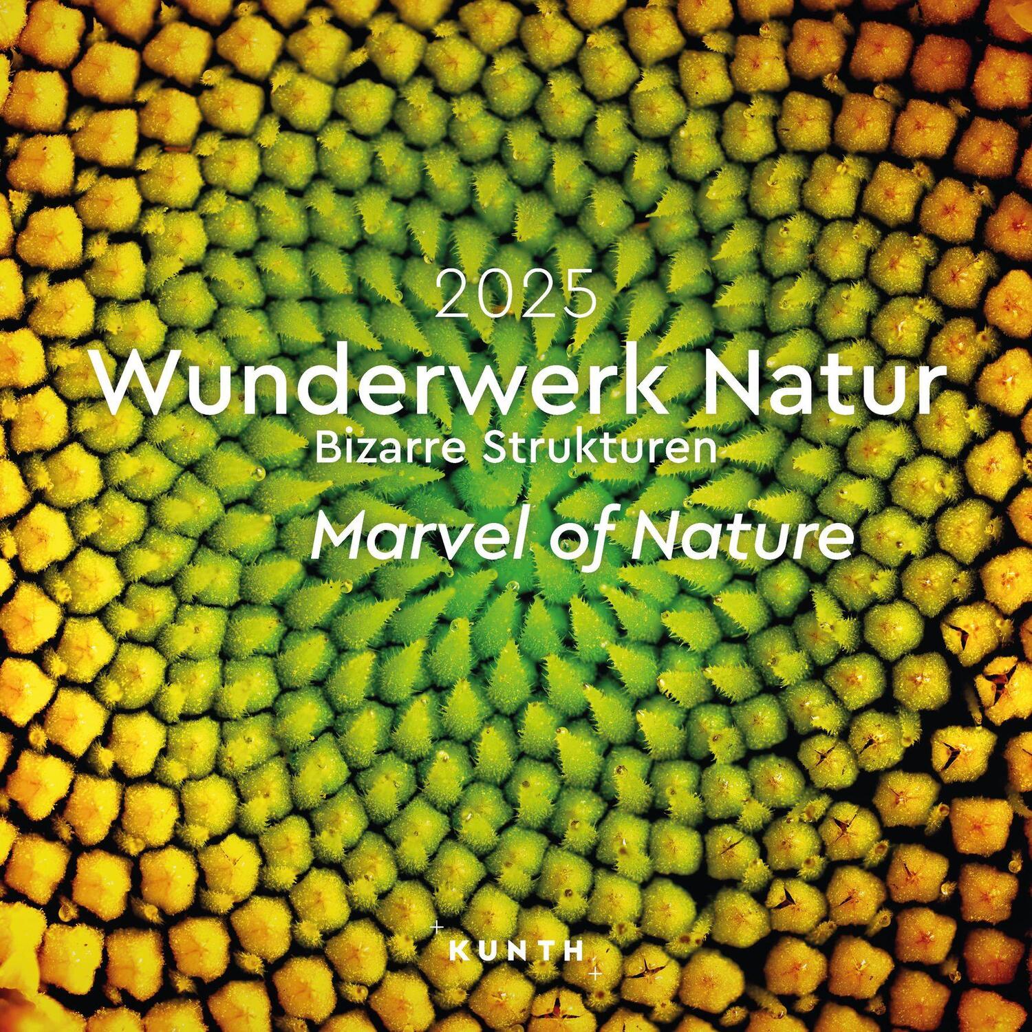 Cover: 9783965914131 | Wunderwerk Natur - Bizarre Strukturen - KUNTH Broschurkalender 2025