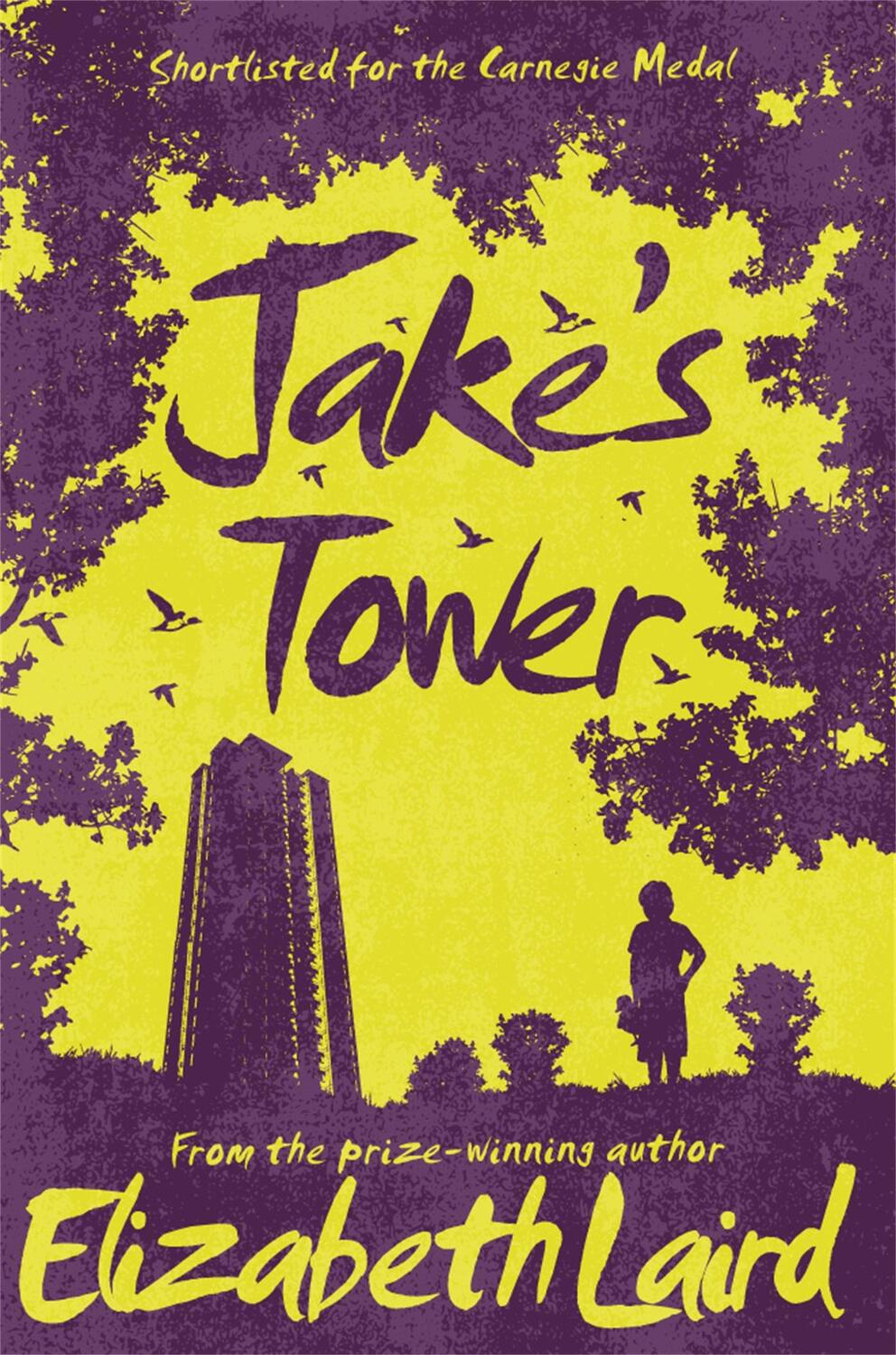 Cover: 9781509826711 | Jake's Tower | Elizabeth Laird | Taschenbuch | Kartoniert / Broschiert