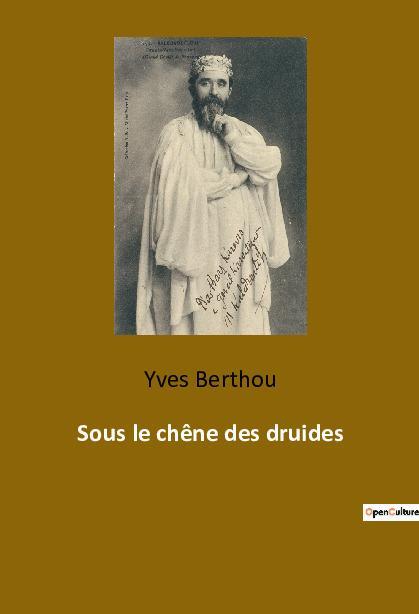 Cover: 9782385083830 | Sous le chêne des druides | Yves Berthou | Taschenbuch | Paperback