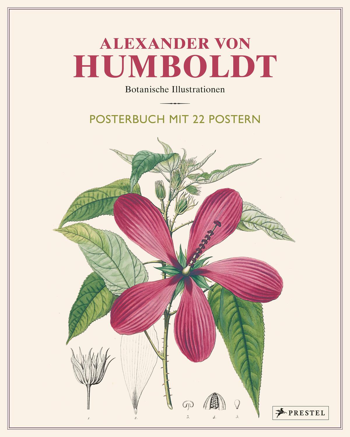 Cover: 9783791385402 | Alexander von Humboldt: Botanische Illustrationen. Posterbuch mit...