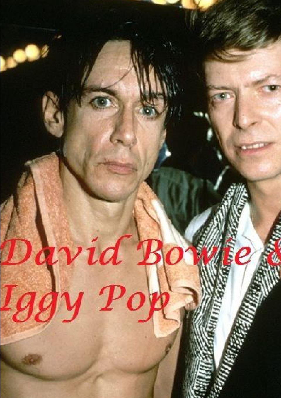 Cover: 9780244273507 | David Bowie &amp; Iggy Pop | Harry Lime | Taschenbuch | Paperback | 2020