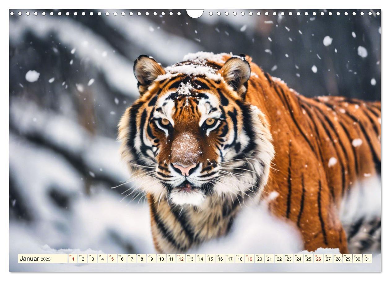 Bild: 9783383814143 | Tiger ganz nah (Wandkalender 2025 DIN A3 quer), CALVENDO...