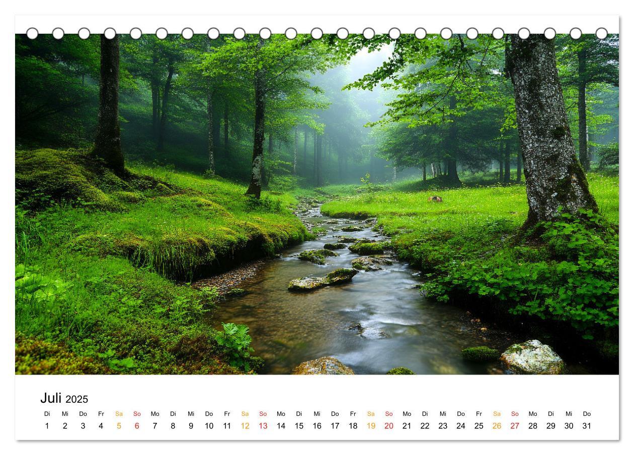 Bild: 9783457224809 | Mystik der Wälder (Tischkalender 2025 DIN A5 quer), CALVENDO...