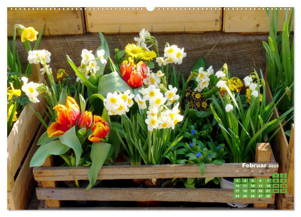 Bild: 9783383988493 | Urlaub im Garten (Wandkalender 2025 DIN A2 quer), CALVENDO...