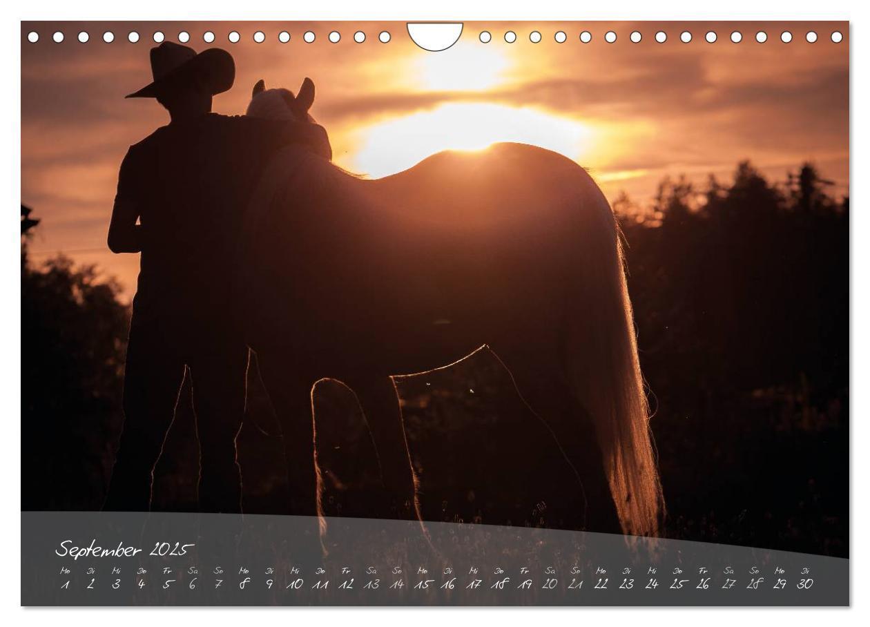 Bild: 9783435505494 | Haflinger-Pferde in Reinzucht (Wandkalender 2025 DIN A4 quer),...