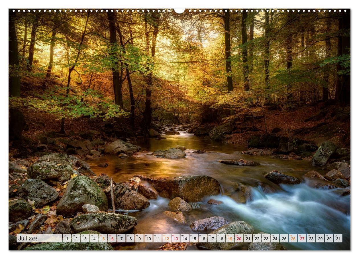 Bild: 9783435071173 | Wald - mystische Spaziergänge (Wandkalender 2025 DIN A2 quer),...