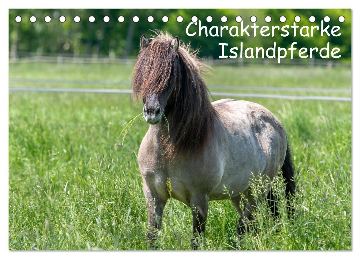 Cover: 9783435046331 | Charakterstarke Islandpferde (Tischkalender 2025 DIN A5 quer),...