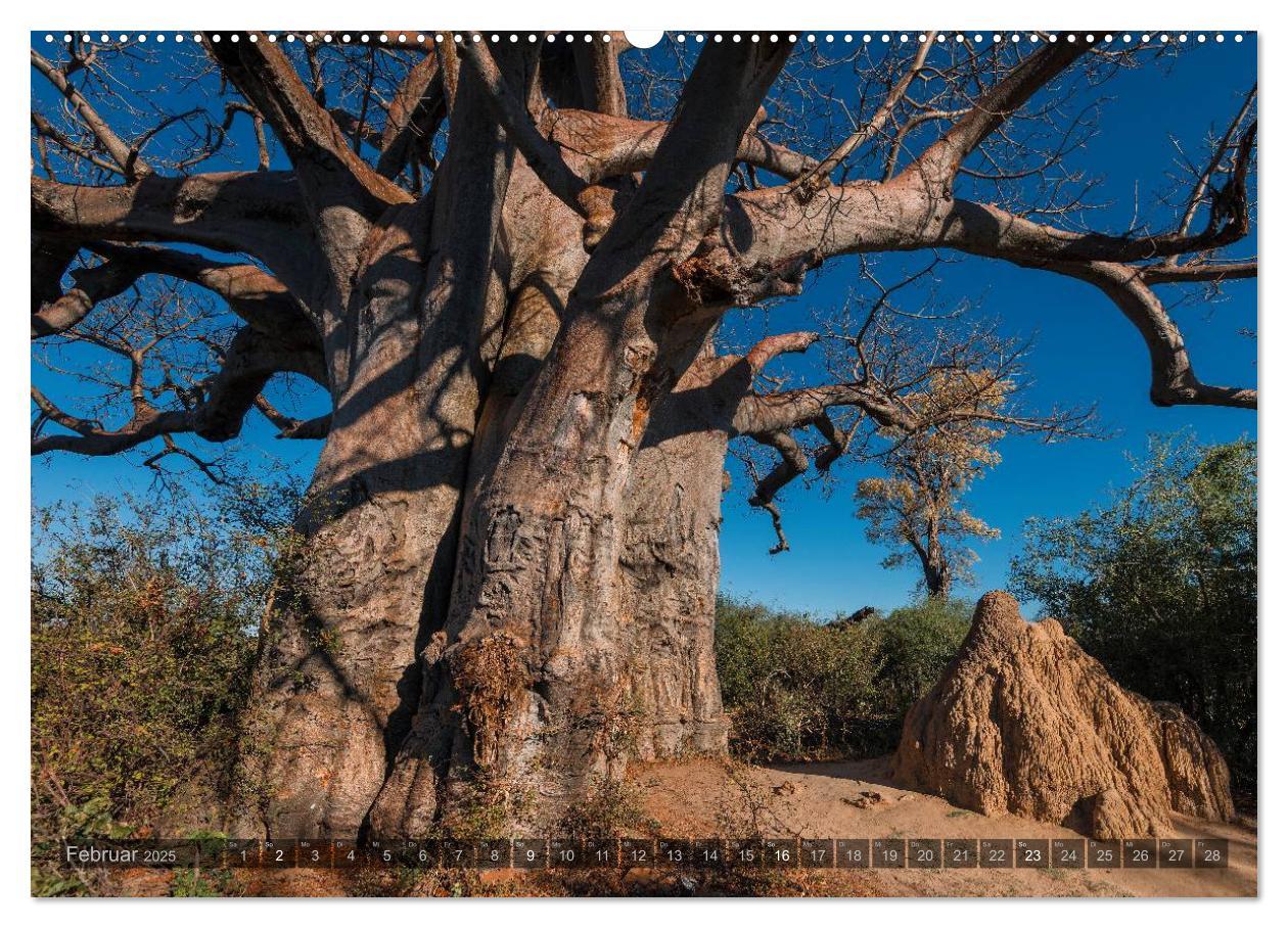 Bild: 9783435600380 | Botswana ¿ Landschaft und Tierwelt (hochwertiger Premium...