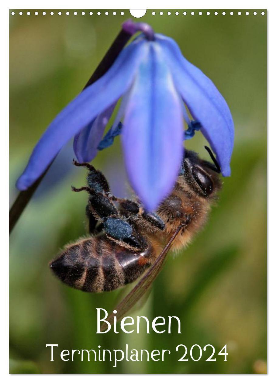 Cover: 9783383354533 | Bienen-Terminplaner 2024 (Wandkalender 2024 DIN A3 hoch), CALVENDO...