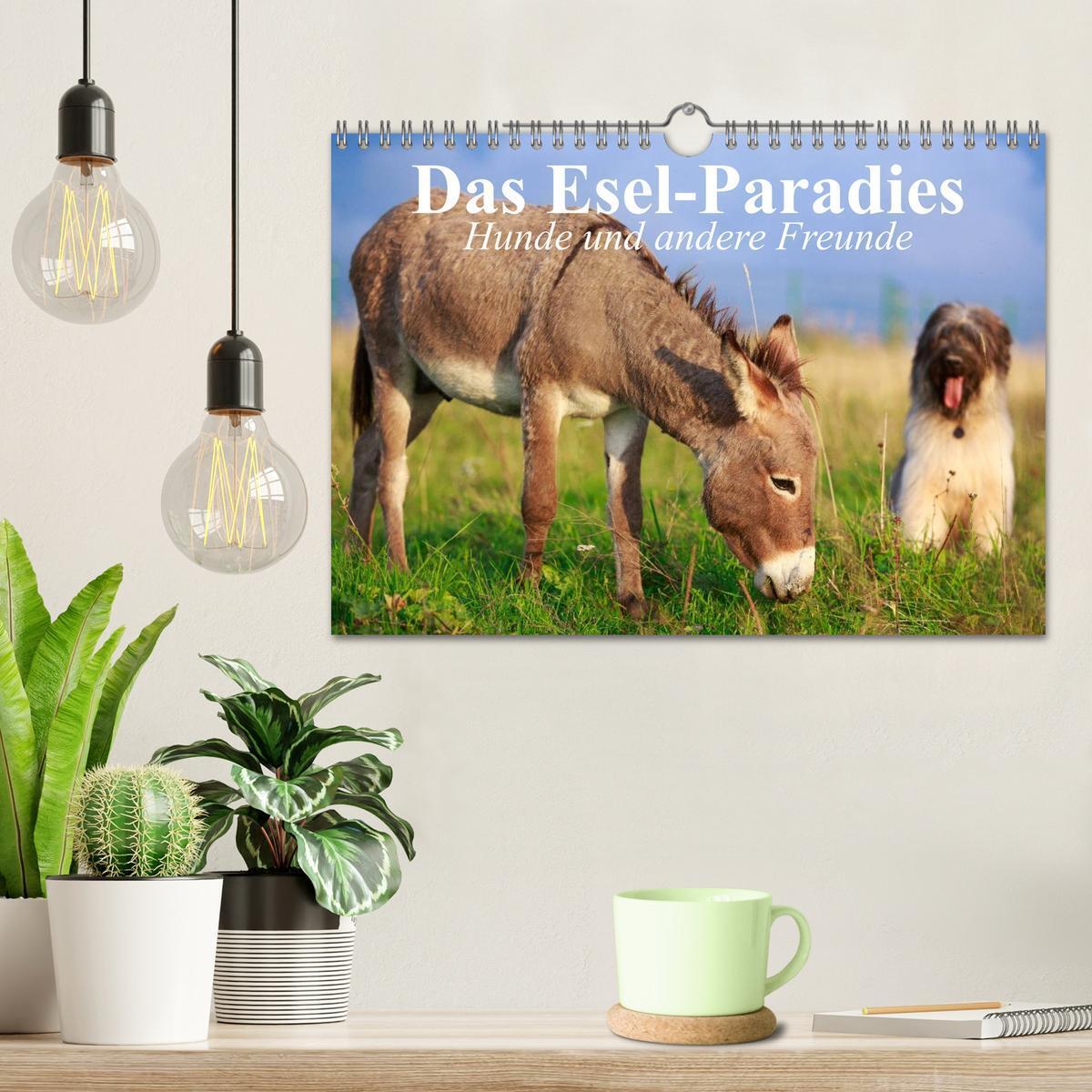 Bild: 9783435655137 | Das Esel-Paradies - Hunde und andere Feunde (Wandkalender 2025 DIN...